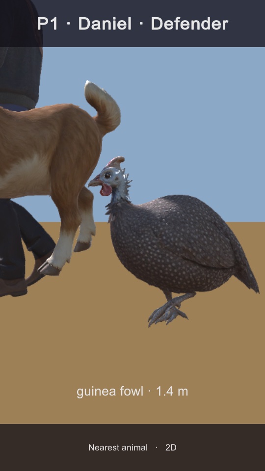 A dog and a guinea fowl close to the camera, labelled guinea fowl 1.4 m.